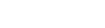 INSAVE